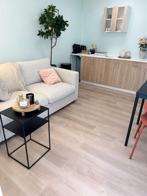 Wellness Studio Tiel Met Sauna En Jacuzzi Εξωτερικό φωτογραφία